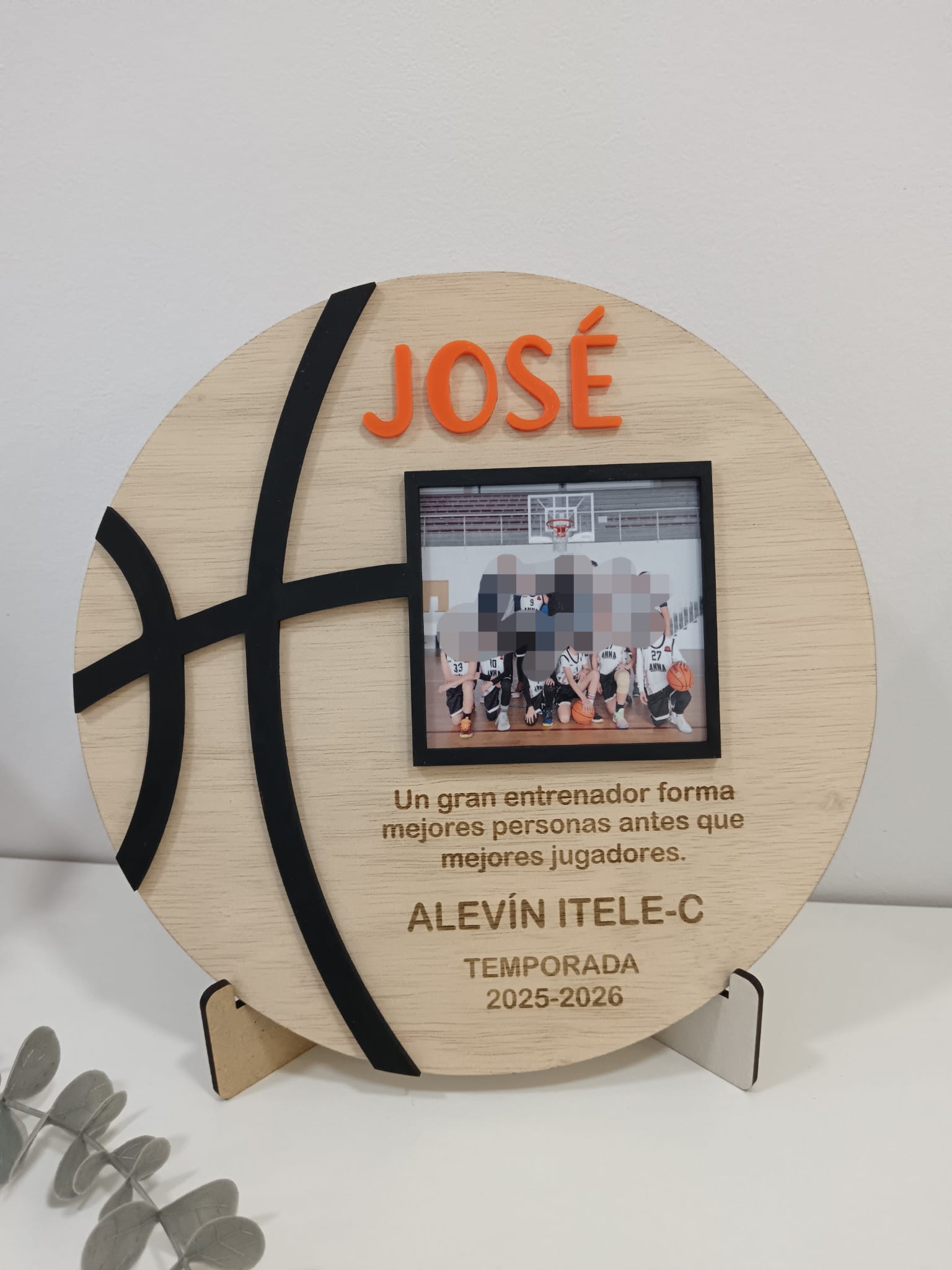 Placa balón de baloncesto