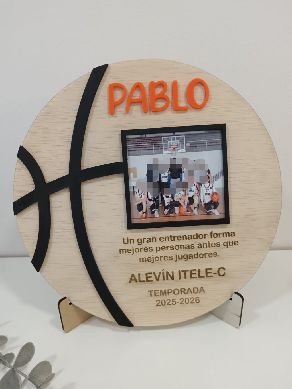 Placa balón de baloncesto